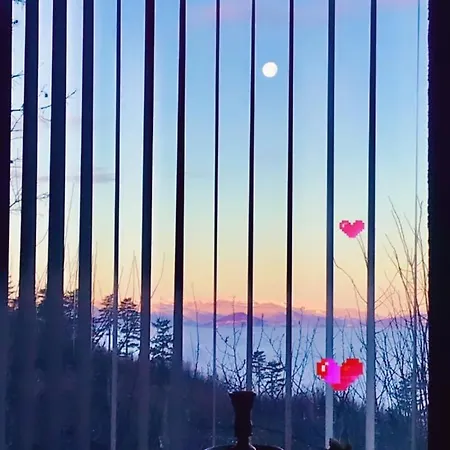 Olywood Sunset